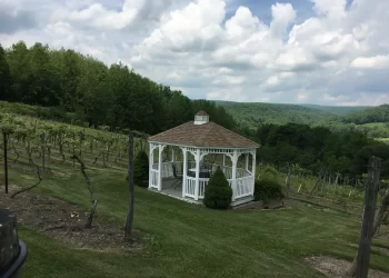 Photo is courtesy of the Starr Hill Vineyard and Winery Web site