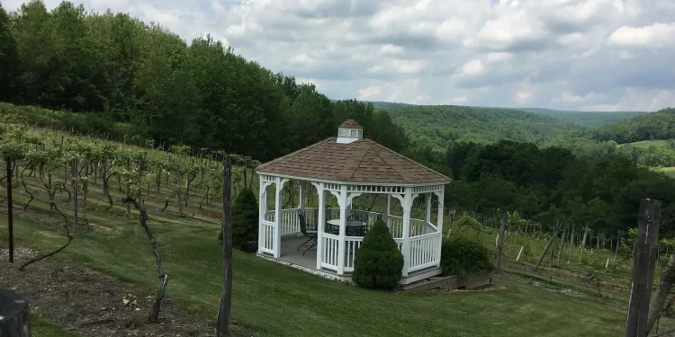 Photo is courtesy of the Starr Hill Vineyard and Winery Web site