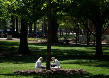 Studying in the Grove on the University of Mississippi campus. Photo by Thomas Graning/Ole Miss Digital Imaging Services