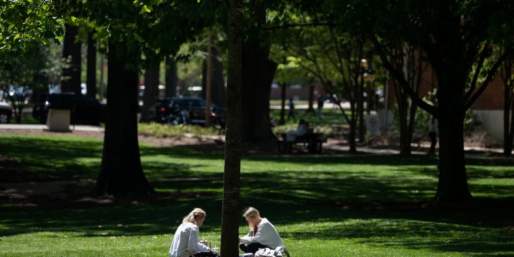 Studying in the Grove on the University of Mississippi campus. Photo by Thomas Graning/Ole Miss Digital Imaging Services