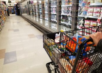 A customer pushes a cart full of groceries through the frozen food aisle in a Wilmington, Del. grocery store.

Khairil Azhar Junos / Shutterstock.com
