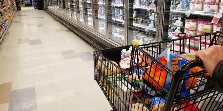 A customer pushes a cart full of groceries through the frozen food aisle in a Wilmington, Del. grocery store.

Khairil Azhar Junos / Shutterstock.com