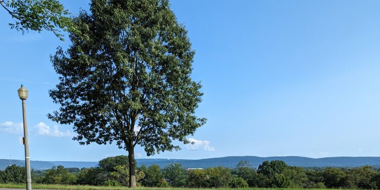 The view from Reservoir Park in Harrisburg, Pennsylvania.

Sarah Anne Hughes / Spotlight PA