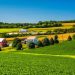 Farmland in rural York County, Pennsylvania.

Jon Bilous | Shutterstock