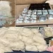 Photos of fentanyl seized by federal agents in Arizona during “Operation Blue Lotus” and “Operation Four Horsemen.”

Homeland Security Investigations, U.S. Customs and Border Protection Office of Field Operations Tucson Field Office