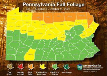 DCNR Fall Foliage Report Week 2 (DCNR website).