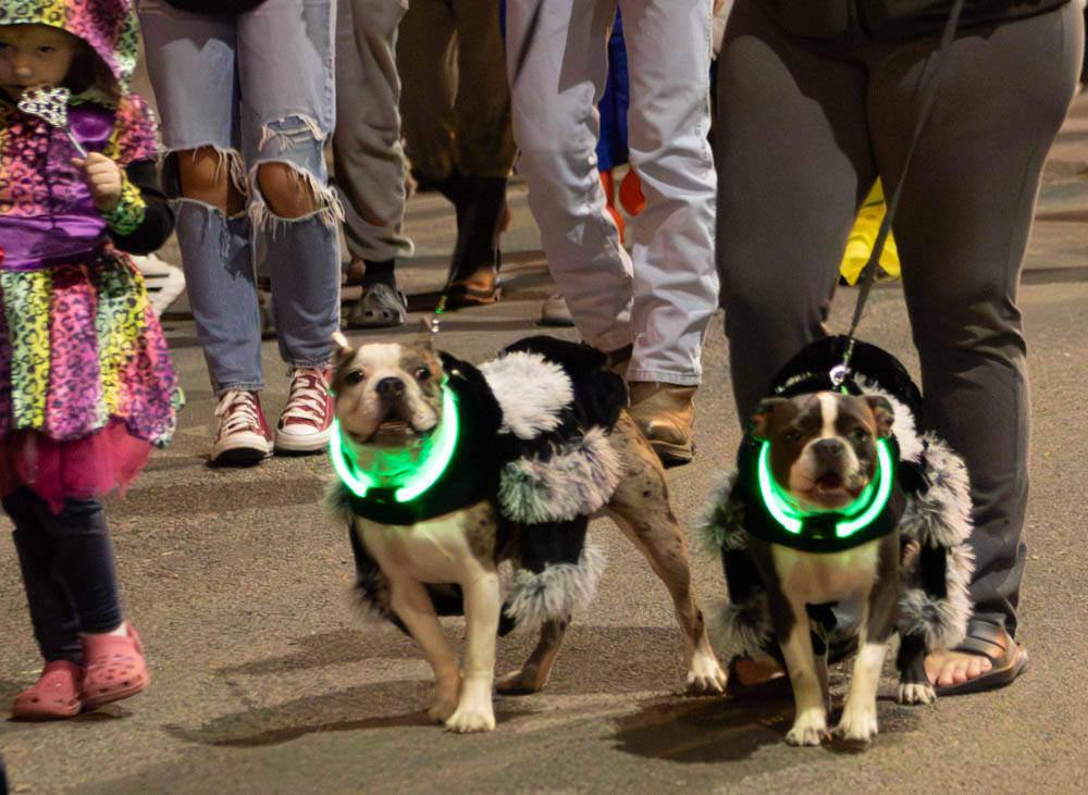 SLIDESHOW Clearfield Halloween Parade