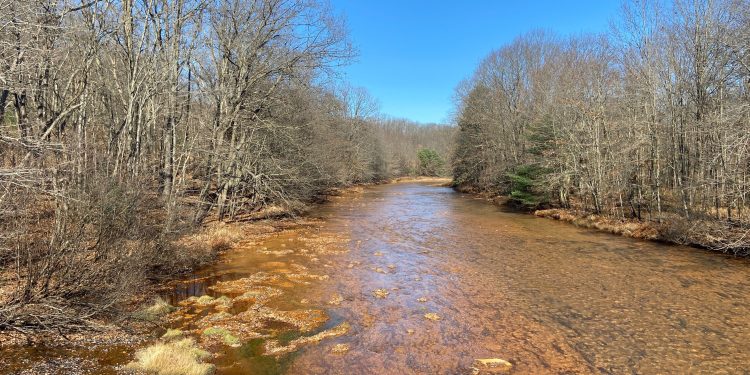 A stream along Coaldale Road in Rush Township, Centre County, runs orange from acid mine drainage.

Marley Parish / Spotlight PA