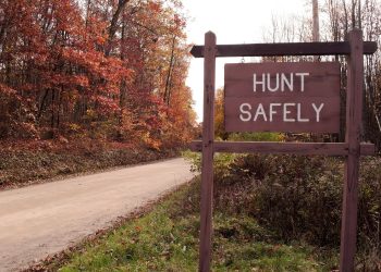 A "hunt safely" sign on the side of a dirt road in the fall woods.
