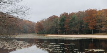 The lake at Black Moshannon State Park

Georgianna Sutherland / For Spotlight PA