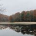 The lake at Black Moshannon State Park

Georgianna Sutherland / For Spotlight PA
