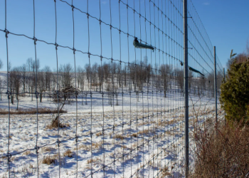 Over seven miles of high fence surround the hunting preserve, now empty of whitetail deer. (Explore Jefferson).
