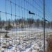 Over seven miles of high fence surround the hunting preserve, now empty of whitetail deer. (Explore Jefferson).