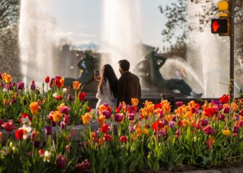 Logan-Square-tulips-by-Albert-Lee-courtesy-Visit-Philadelphia