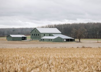 A barn on a farm in Centre County, Pennsylvania

Georgianna Sutherland / For Spotlight PA