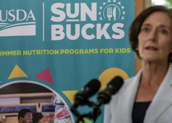 Val Arkoosh, Secretary of the Deparment of Human Services, discusses the Sun Bucks program in Harrisburg, Pa. on Aug. 8, 2024.

Commonwealth Media Services