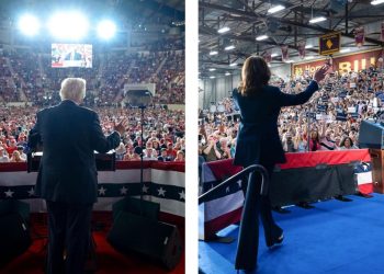 Donald Trump and Kamala Harris at respective rallies.

Donald Trump | Truth Social Kamala Harris | X