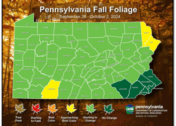 DCNR Fall Foliage Report Week One