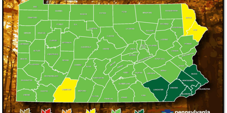 DCNR Fall Foliage Report Week One