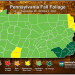 DCNR Fall Foliage Report Week One