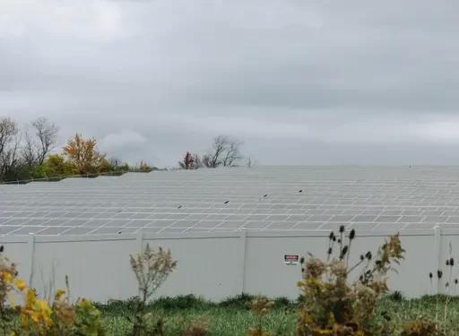 Solar panel field at the University Area Joint Authority in Centre County.

Georgianna Sutherland / For Spotlight PA