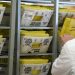 Workers sort mail ballots on Nov. 5, 2024, at Northampton County Courthouse in Easton, Pennsylvania.

Matt Smith / For Spotlight PA