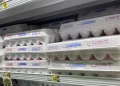 Eggs are available for patrons at Lowes Foods, 2025-1 Flower Dr, Winterville, N.C., on Tuesday morning, Aug. 20, 2024.

Alan Wooten | The Center Square