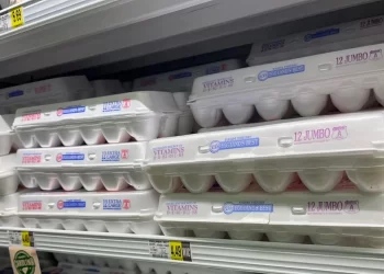 Eggs are available for patrons at Lowes Foods, 2025-1 Flower Dr, Winterville, N.C., on Tuesday morning, Aug. 20, 2024.

Alan Wooten | The Center Square