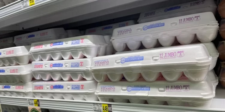 Eggs are available for patrons at Lowes Foods, 2025-1 Flower Dr, Winterville, N.C., on Tuesday morning, Aug. 20, 2024.

Alan Wooten | The Center Square